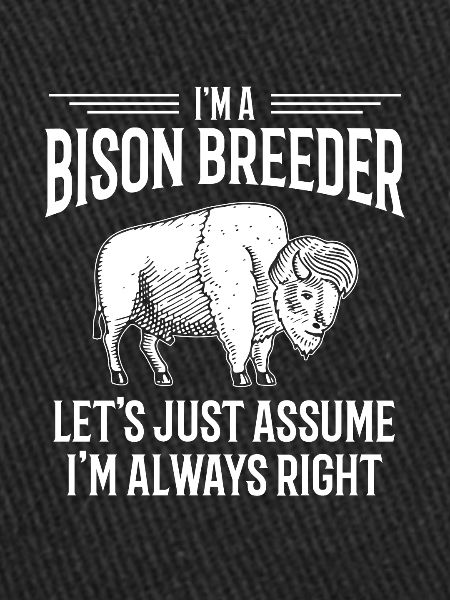American Bison Buffalo