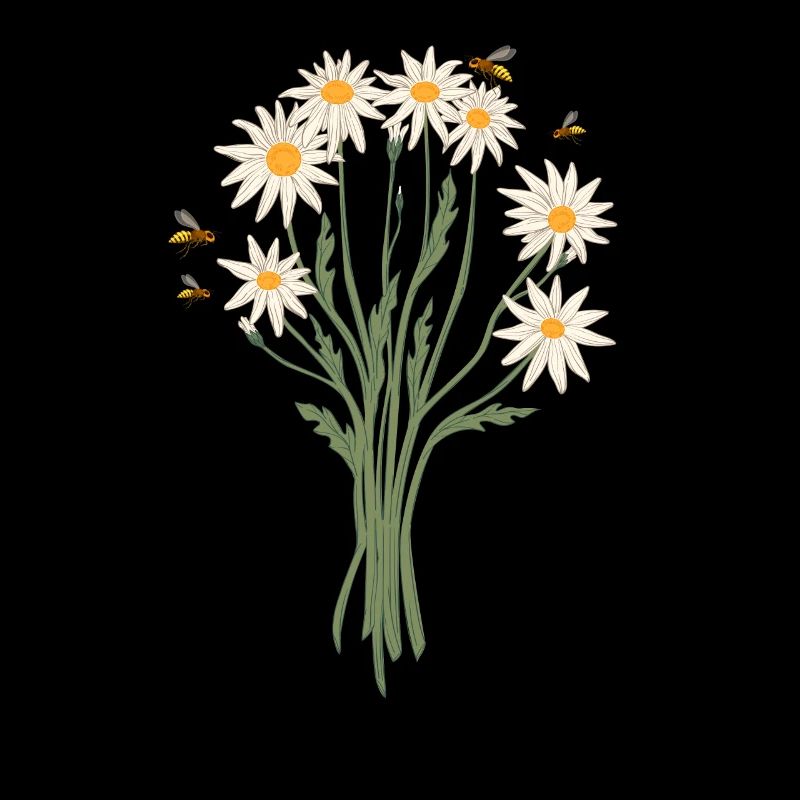 Marguerites Daisy Summer Daisies Jardin de fleurs