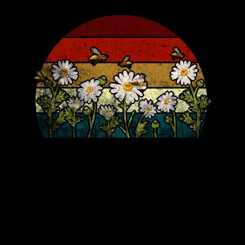 Marguerites Daisy Summer Daisies Jardin de fleurs
