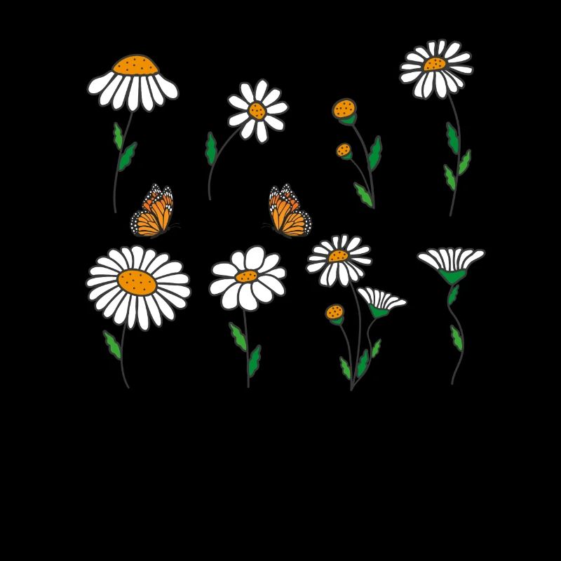 Marguerites Daisy Summer Daisies Jardin de fleurs