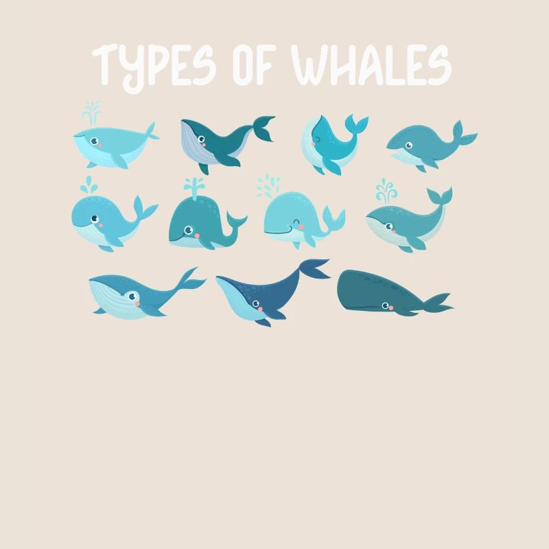 Types de baleines Whale Lovers Whales Espèces de baleines
