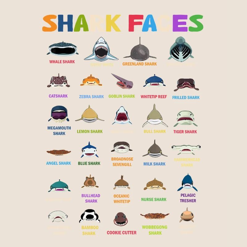 Types de visages de requins. Identification du visage du requin