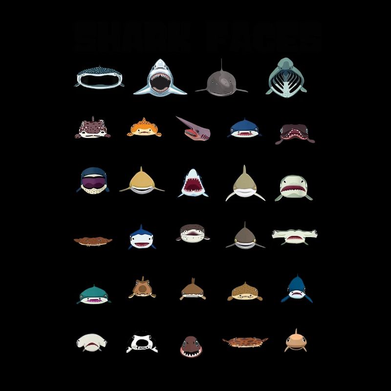 Types de visages de requins. Identification du visage du requin