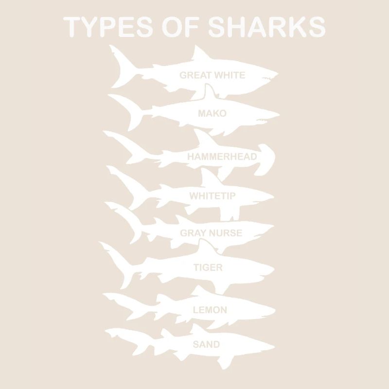 Types de requins