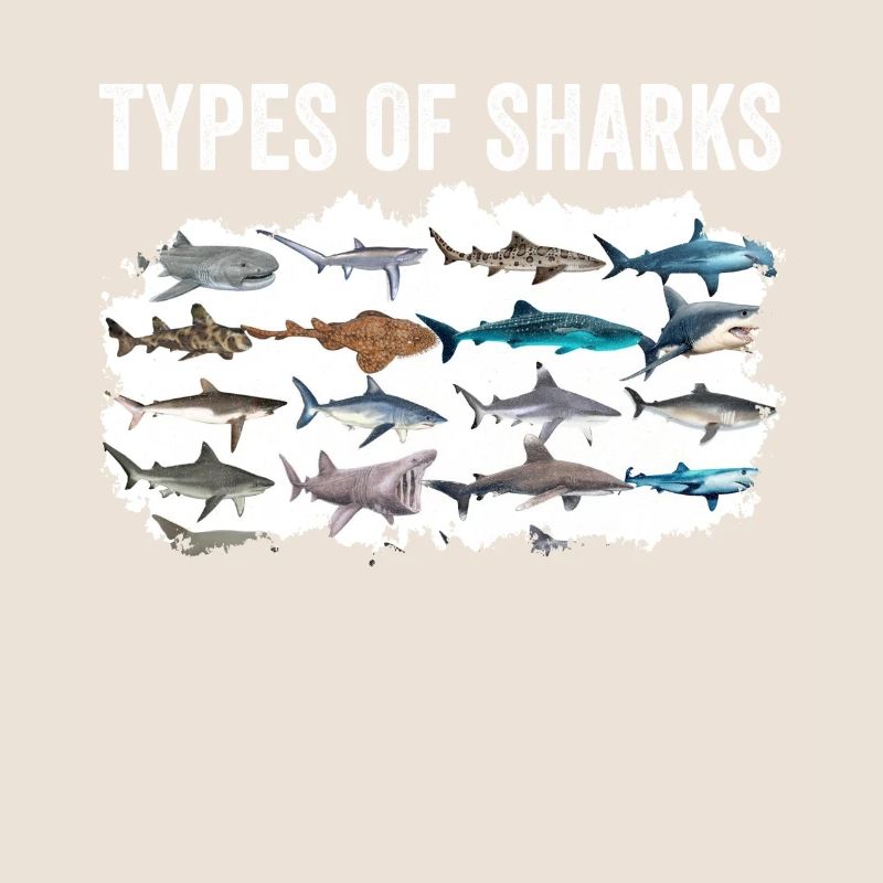 Types de requins