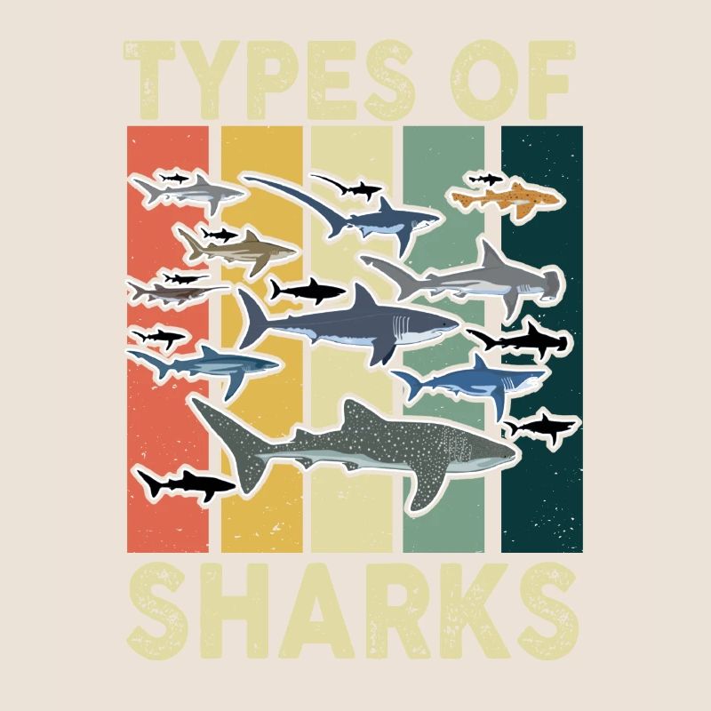 Types de requins