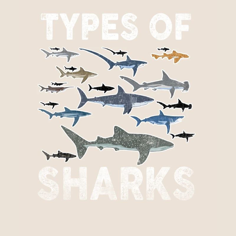 Types de requins