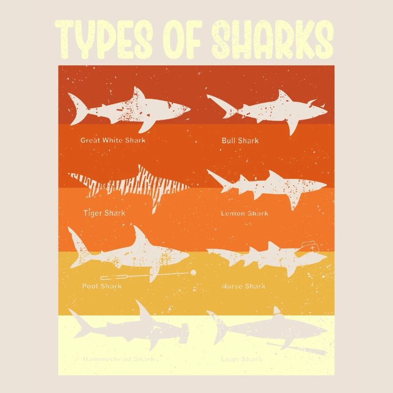 Types de requins