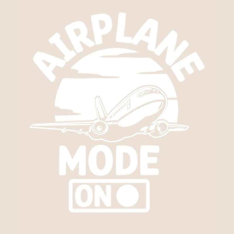 Idée cadeau de vol d’avion pilote