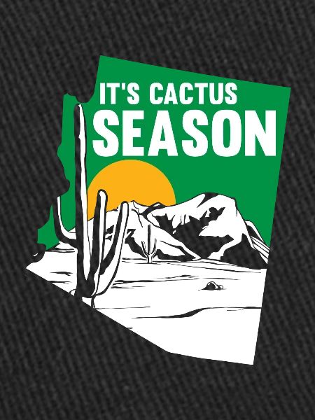 Cactus Garden Cactus