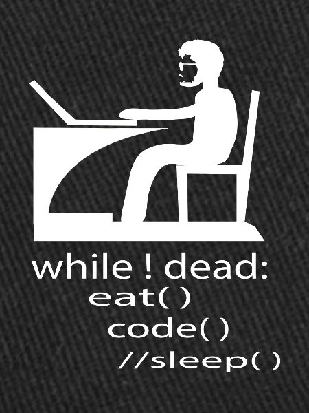 Softwareentwickler Programmierer Geschenk