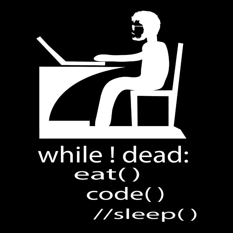 Softwareentwickler Programmierer Geschenk