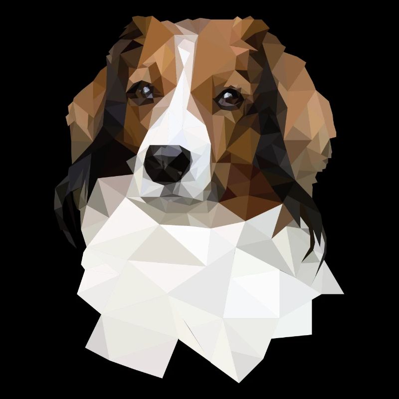 Kooikerhondje im Polygon Style