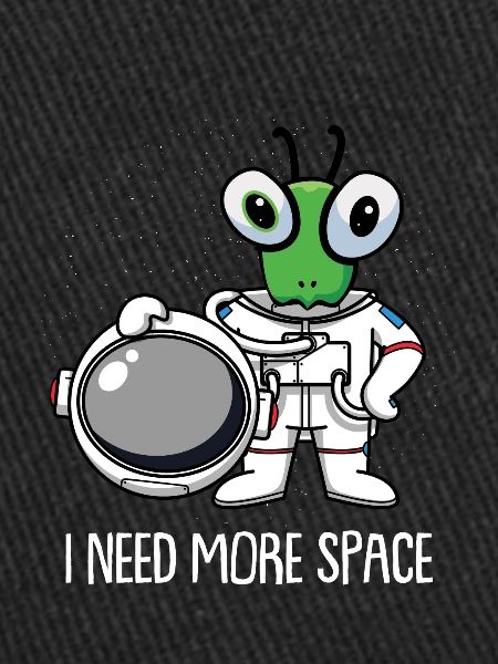 Mantis Praying Mantis Astronaut