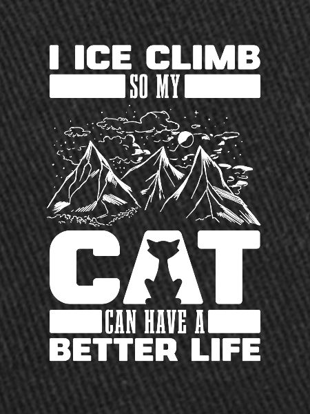 Chat grimpant sur glace