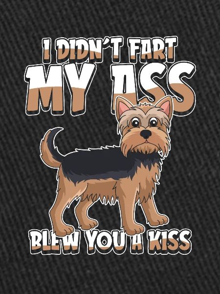 Yorkshire Terrier Drôle