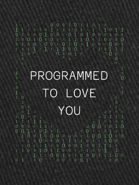 Developer Coder Programmer