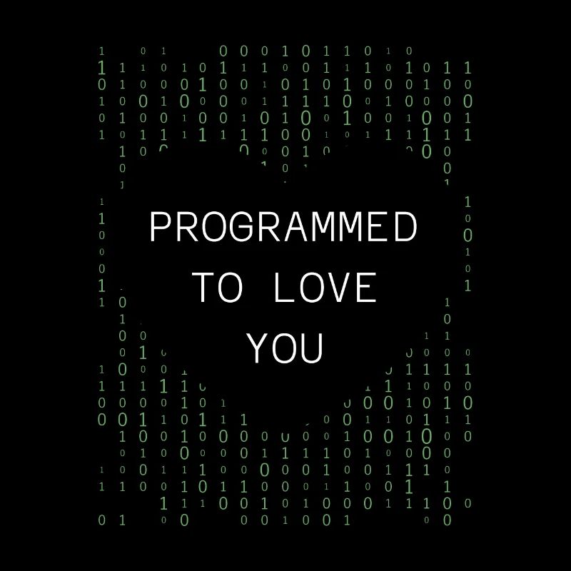 Programmeur Codeur développeur