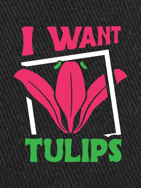 Tulipes Tulipes mignonnes