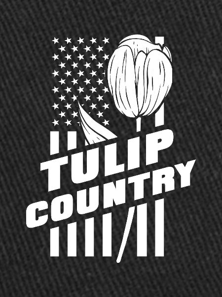 Tulipes Drapeau américain Tulipes