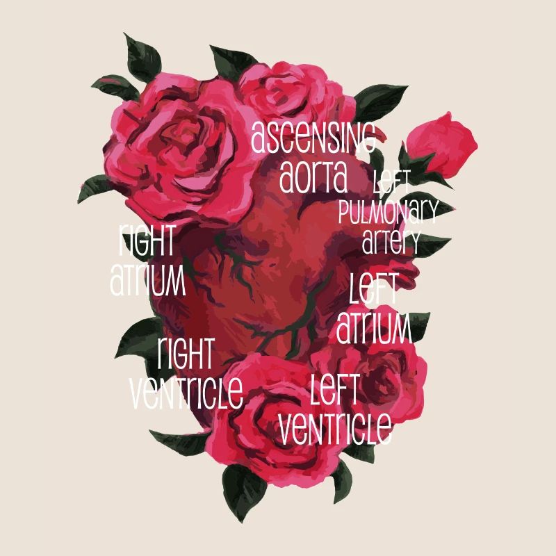 Cœur anatomique et fleurs