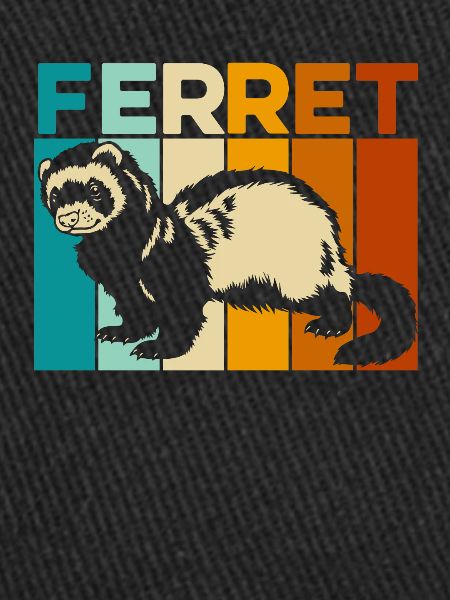 Ferret polecat