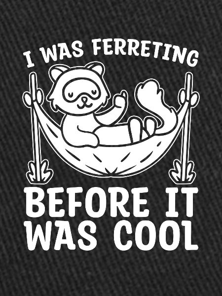 Ferret polecat