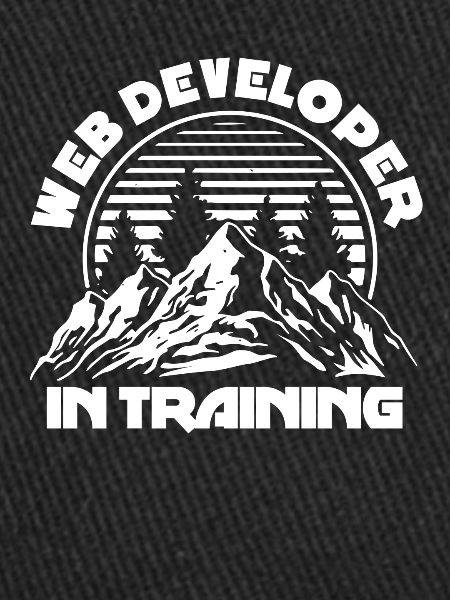 Web Entwickler Webdeveloper Ausbildung