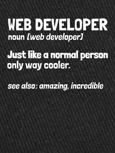 Développeur Web Développeur Web