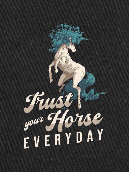 Cheval Équitation Cool Endurance Équitation