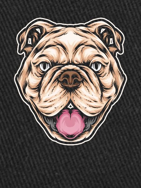 Pitbull Pitbull Verbot