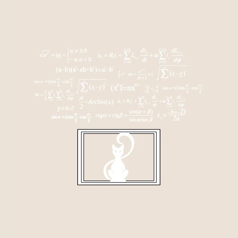 Physics Phyker Cat Quantum Physics