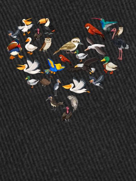 Drôle d’observation d’oiseaux