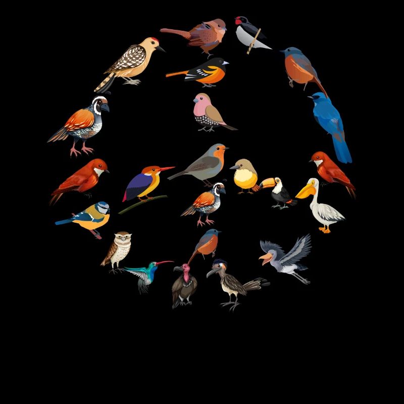 Drôle d’observation d’oiseaux