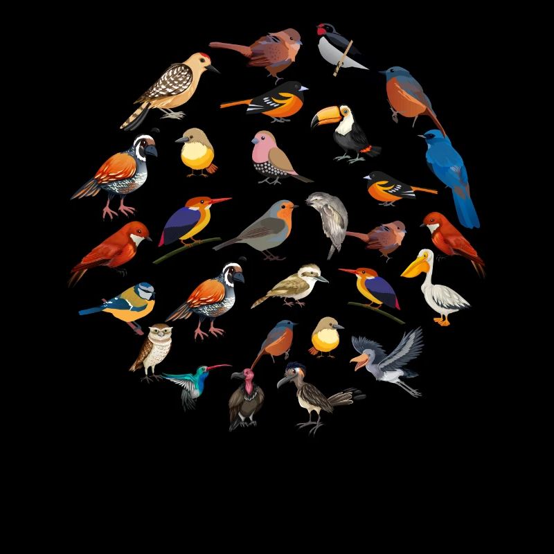 Drôle d’observation d’oiseaux