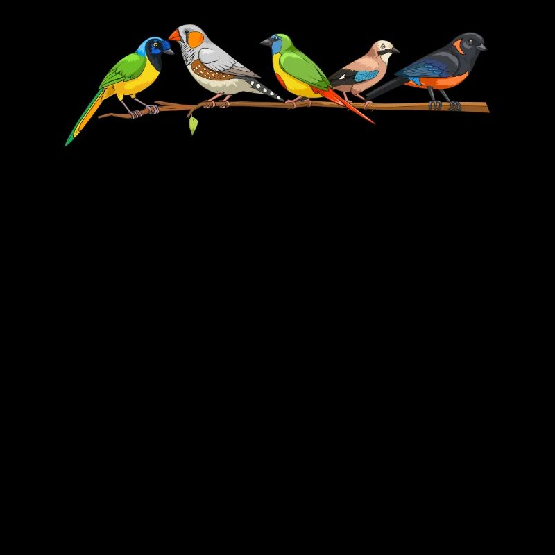 Drôle d’observation d’oiseaux