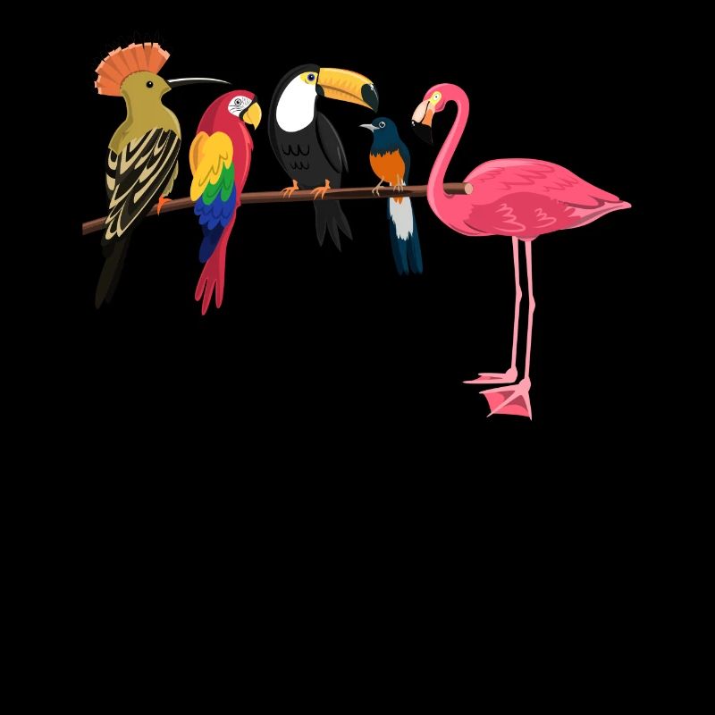 Drôle d’observation d’oiseaux