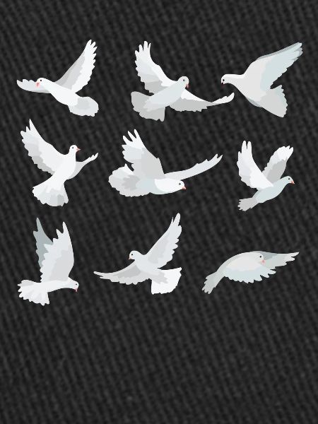 Drôle d’observation d’oiseaux