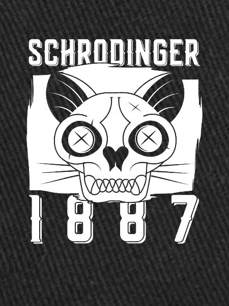 Physik Phyiker Katze Quantenphysik