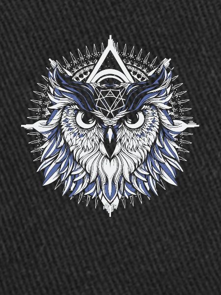 Owl Abstract