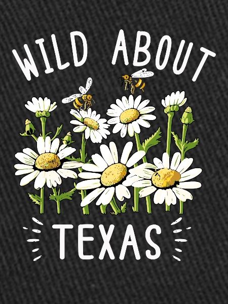 Wildflower Fields Wildflowers Bluebonnet