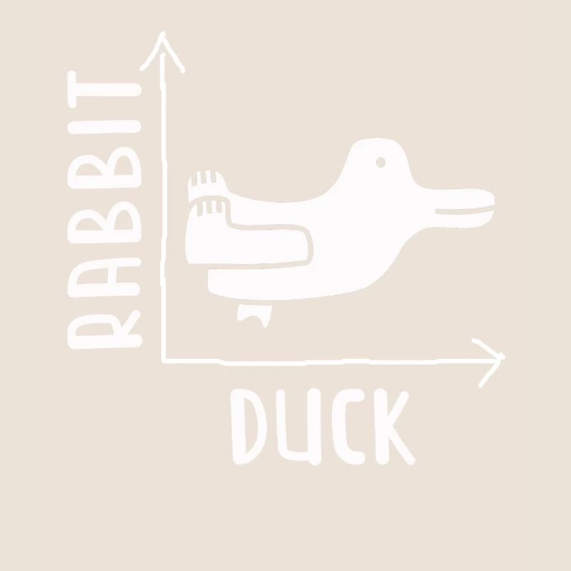Wittgensteins Rabbit Duck Illusion