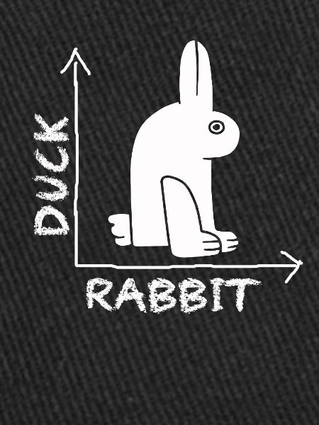 Wittgenstein lapin canard illusion