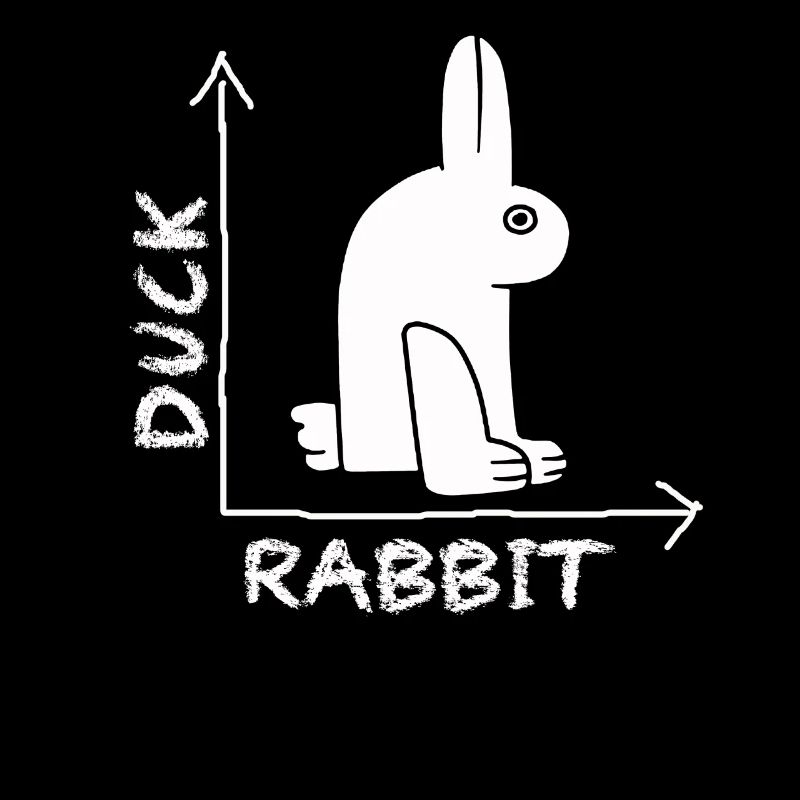 Wittgenstein lapin canard illusion