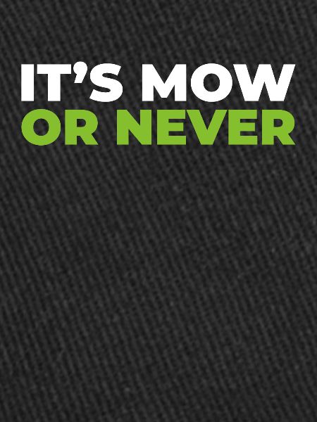 Lawn mower mowing