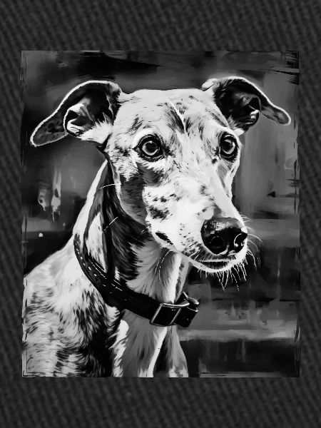Portrait de chien lévrier