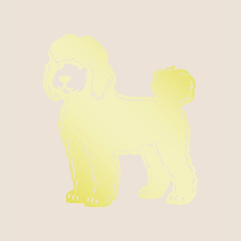 Poodle Hund Silhouette