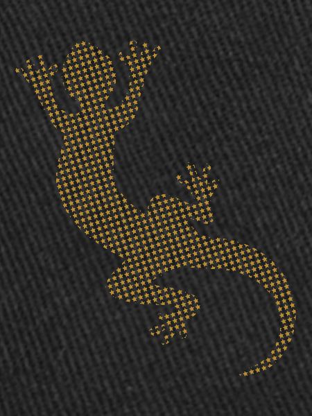 Lizard Gecko