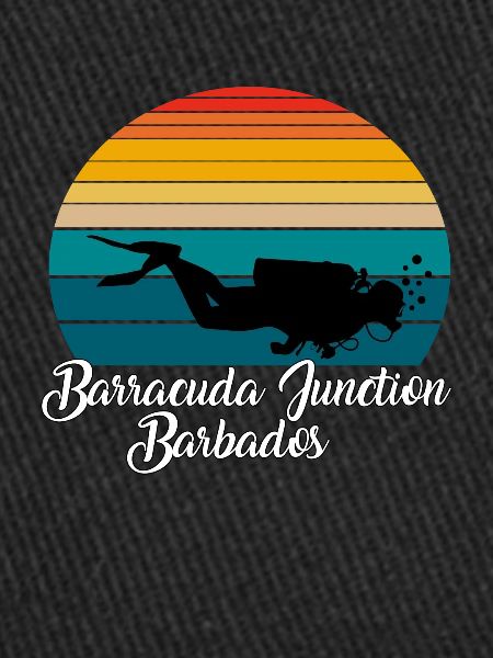 Barracuda Junction Barbade Plongée