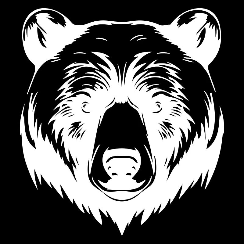 Ours Grizzly Animal